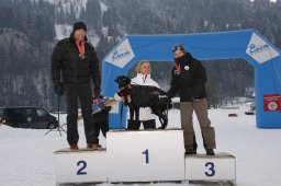 Lenk 2012 SM